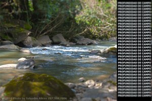 wp-content/uploads/2010/11/river-HDR3-300x199.jpg